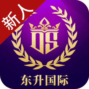东升国际